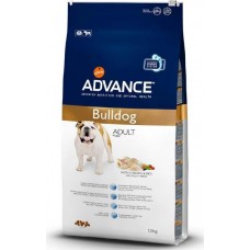 Advance Dog Bulldog Advance Dog Bulldog