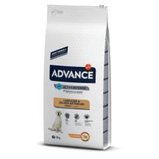 Advance Dog Labrador Retriever Advance Dog Labrador Retriever
