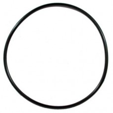 Tetra Gasket EX 1200 Plus - Уплотнительное кольцо к фильтру EX 1200 Plus (арт. DAI707980/240735) Tetra Gasket EX 1200 Plus - Уплотнительное кольцо к фильтру EX 1200 Plus (арт. DAI707980/240735)