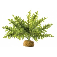 Hagen Папоротник Бостон, несколько размеров Hagen Папоротник Бостон, несколько размеров