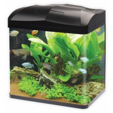 Haqos Аквариум изогнутый из стекла (38 x 26 x 41.5 сm), 30 л Haqos Аквариум изогнутый из стекла (38 x 26 x 41.5 сm), 30 л