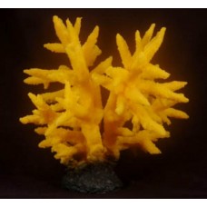 Happy Animals Коралл оранжевый 39x38x32,5 см (арт. ХЭП MSH-019-Y) Happy Animals Коралл оранжевый 39x38x32,5 см (арт. ХЭП MSH-019-Y)