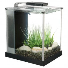 Аквариум Fluval SPEC III, 10 л (разные цвета) Аквариум Fluval SPEC III, 10 л (разные цвета)