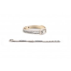 Redplastic Ошейник Дарэлл Люкс 8 мм, обхват 19-23 см двухслойный Серебро со стразами (арт. 512409) Redplastic Ошейник Дарэлл Люкс 8 мм, обхват 19-23 см двухслойный Серебро со стразами (арт. 512409)