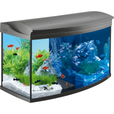 Tetra AquaArtll LED Aquarium-Set anthr. - аквариумный комплект, 100 л, антрацит (арт. DAI708552/174610) Tetra AquaArtll LED Aquarium-Set anthr. - аквариумный комплект, 100 л, антрацит (арт. DAI708552/174610)
