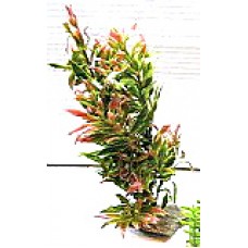 Пластиковое растение для аквариума, 20 см. (арт. TYZB67) Пластиковое растение для аквариума, 20 см. (арт. TYZB67)