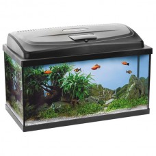 Прямоугольный аквариум AQUAEL SET PAP CLASSIC 200л., 100х40х50 см. (арт. TYZ106363) Прямоугольный аквариум AQUAEL SET PAP CLASSIC 200л., 100х40х50 см. (арт. TYZ106363)