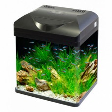 Haqos Аквариум изогнутый из стекла (38 x 26 x 41.5 сm), 30 л, разные цвета Haqos Аквариум изогнутый из стекла (38 x 26 x 41.5 сm), 30 л, разные цвета