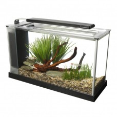 Аквариум Fluval SPEC V, 19 л (разные цвета) Аквариум Fluval SPEC V, 19 л (разные цвета)