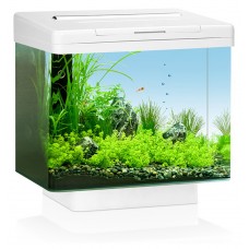 JUWEL Аквариум Vio 40 LED, 30 л,черный (арт. TYZ 20040) JUWEL Аквариум Vio 40 LED, 30 л,черный (арт. TYZ 20040)