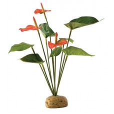 Hagen Антуриум 29 x 6.5 x 5 cм (арт. ХЭП PT2992) Hagen Антуриум 29 x 6.5 x 5 cм (арт. ХЭП PT2992)