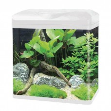 Haqos Аквариум изогнутый из стекла (30 x 23,5 x 34,5 сm), 16 л, разные цвета Haqos Аквариум изогнутый из стекла (30 x 23,5 x 34,5 сm), 16 л, разные цвета