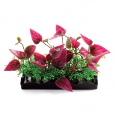 Triol Композиция 1146LD из аквариумных растений, 80 мм, пакет (арт. ТР 74044166) Triol Композиция 1146LD из аквариумных растений, 80 мм, пакет (арт. ТР 74044166)